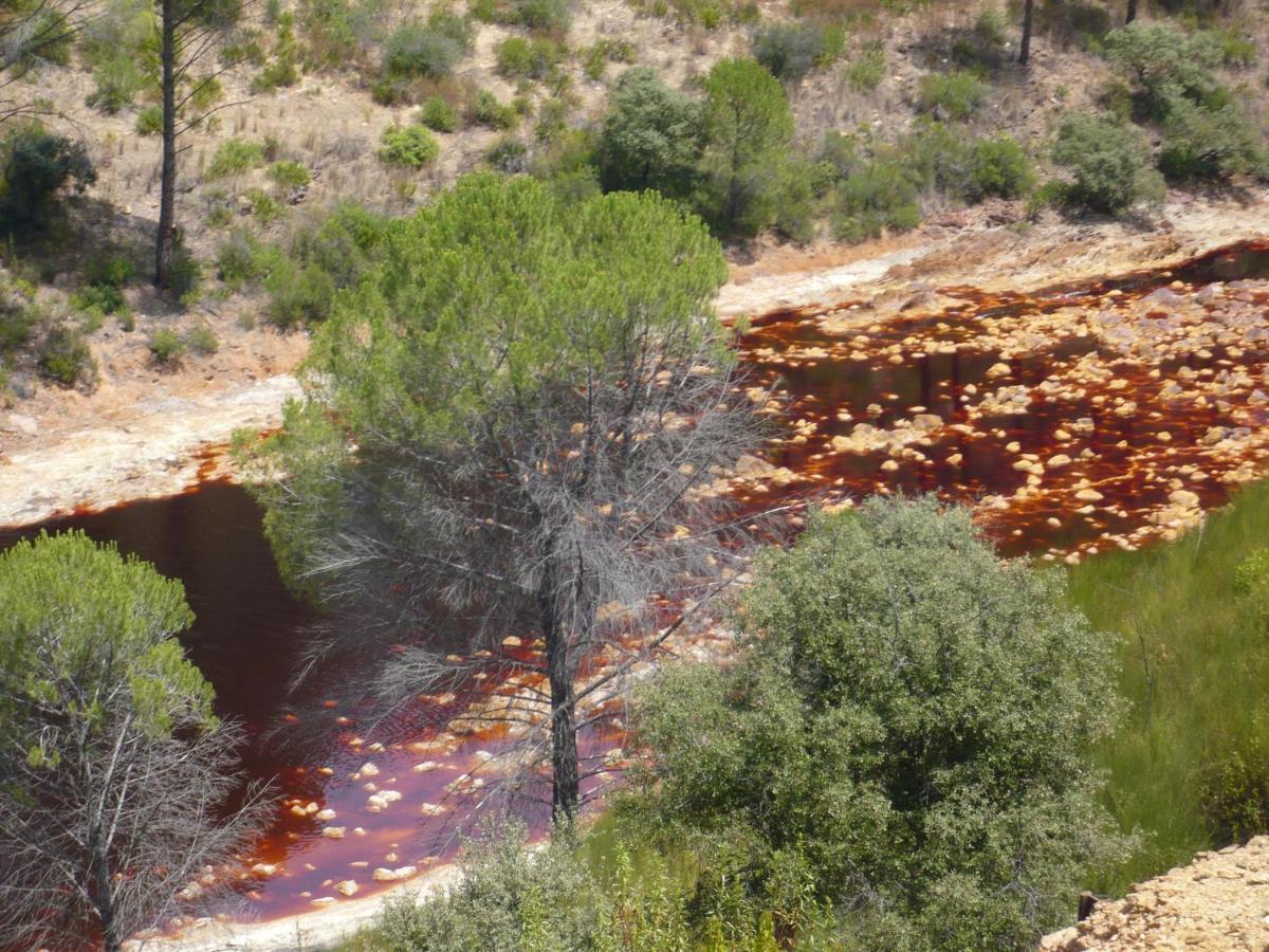 Cortijo Los Conquistadores Lucena Del Puerto المظهر الخارجي الصورة