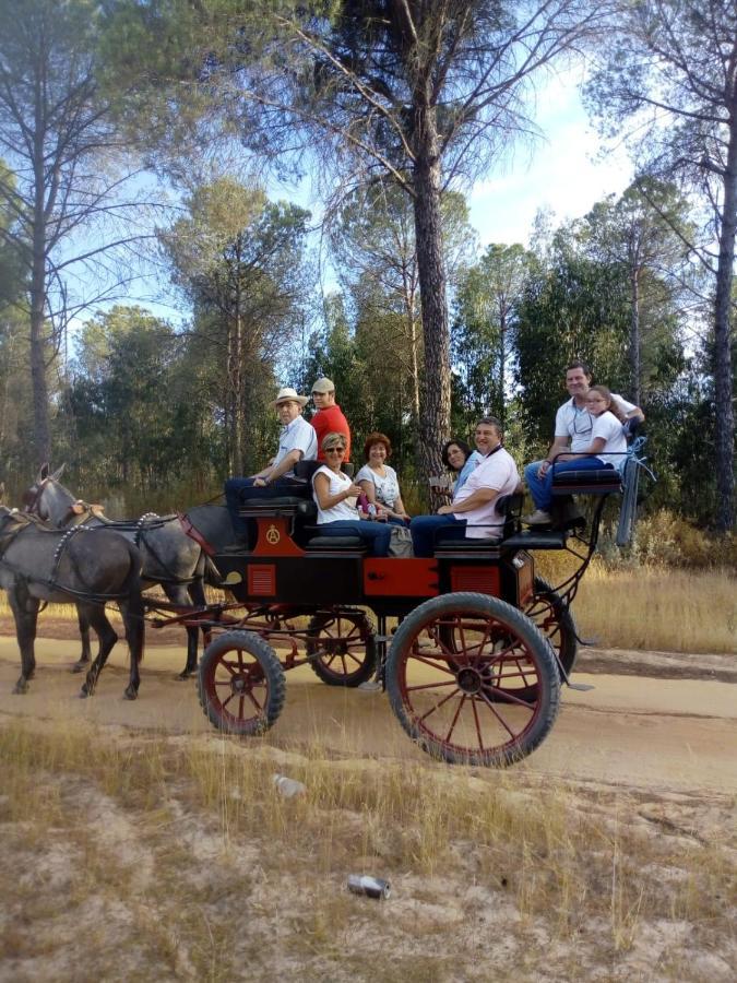 Cortijo Los Conquistadores Lucena Del Puerto المظهر الخارجي الصورة